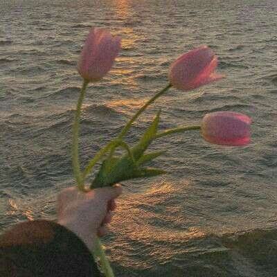 ob体育最新官网手机app下载