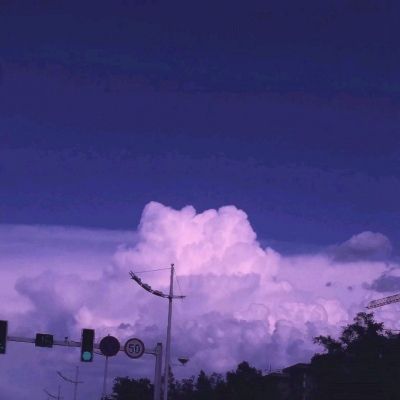 乐鱼官网手机版app下载